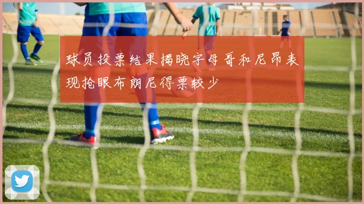球员投票结果揭晓字母哥和尼昂表现抢眼布朗尼得票较少