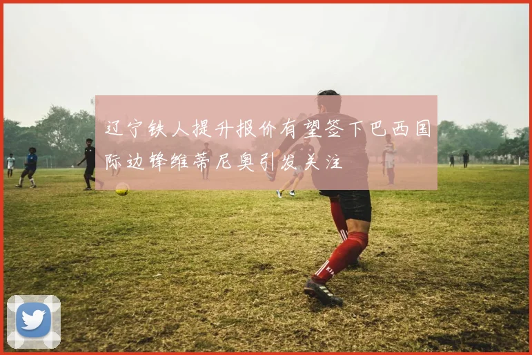 辽宁铁人提升报价有望签下巴西国际边锋维蒂尼奥引发关注