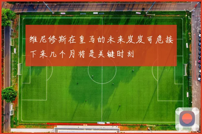 维尼修斯在皇马的未来岌岌可危接下来几个月将是关键时刻